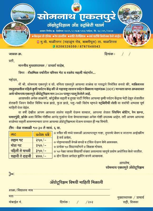 school picnic